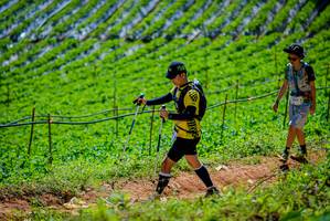 BIB: 
                            <button type="button" onclick="openModal(19164462)" class="btn btn-primary btn-sm float-right btn-popup" data-toggle="modal" data-target=".modal-high-quality">
                        <i class="fas fa-shopping-cart"></i> Add to Cart
                    </button>
                                            <button type="button" onclick="isThisMe(19164462, true)" class="btn btn-success btn-sm float-right btn-popup btn-isme hidden" data-toggle="tooltip" data-placement="bottom" title="นี่คือรูปของคุณใช่ไหม คลิกที่นี่เพื่อเอาเข้าอัลบั้ม">
                        <i class="fas fa-plus"></i> Add to album
                    </button>
                    <button type="button" onclick="isThisMe(19164462, false)" class="btn btn-warning btn-sm float-right btn-popup btn-isnotme hidden">
                        <i class="fas fa-ban"></i> Remove from album
                    </button>